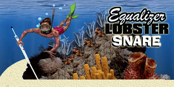 web site design LobsterSnare.net