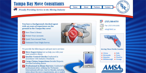 web site design TampaBayMoveConsultants.com